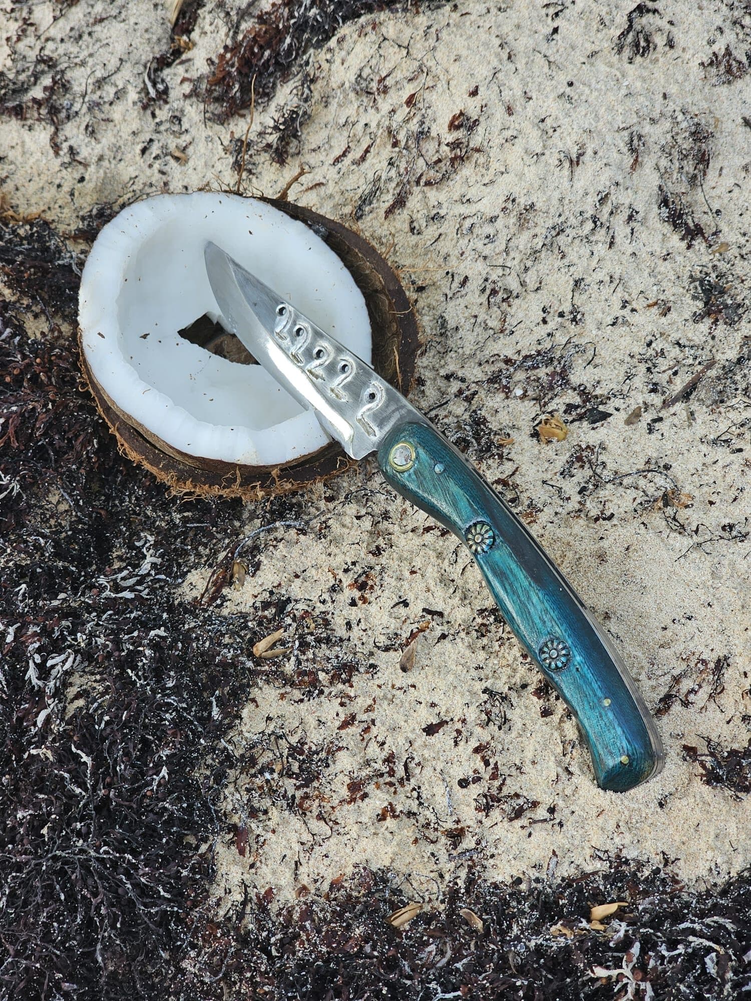 Couteau pliant au manche bleu, posé sur une coque de coco et une pierre volcanique