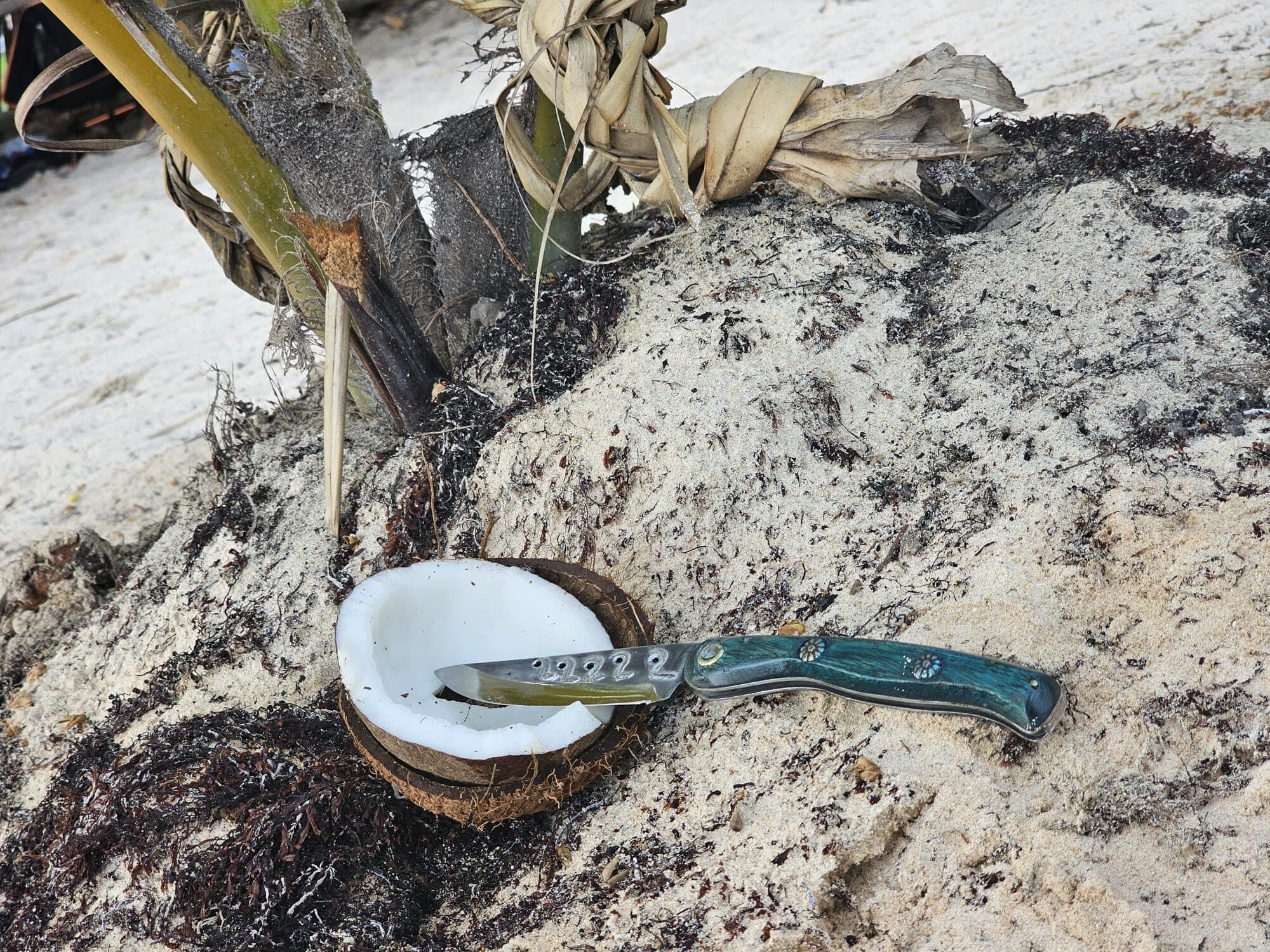 Noix de coco fendue tenue à la main, à côté d'un couteau pliant